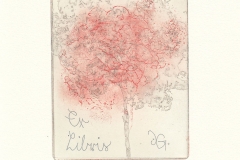 Inga Gottschalk, Exlibris Summer- hydrangea, 10/15 cm, 2018,  intaglio