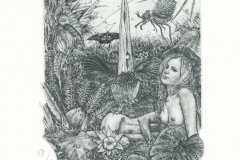 Gunter Hujber, Exlibris Lodewijk Deurinck ''Lost Paradise'', C2, C4, 14.5x11.5 cm, 2020