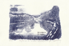 Colette Leroy, Exlibris C. Leroy ''Reflets sur la Sambre'', L1, 12.1x18 cm, 2021