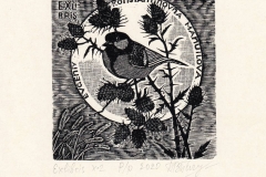 Pavel Pichugin, Exlibris E.K. Manuilova, 8.9x8.9 cm, X2, 2020