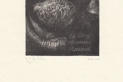 Hermann Rommel, "Dark ", 2016, 8/ 8 cm, P6, L4