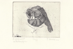 Gergana Ivanova, Exlibris Gergana Ivanova "In embryo", 11/15 cm, 2018, C3