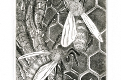 Irena Kos- Fiedorowicz, Exlibris Wikorii Kos "Wild Beehive", 2014, C8