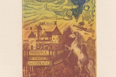 Svetlana Volosiuk, Exlibris Peninsula castle Unicorns, C3, C5, 12.5x9.5 cm, 2020